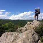Profile Picture of Matt Tracey (@matteoheimay) on Instagram