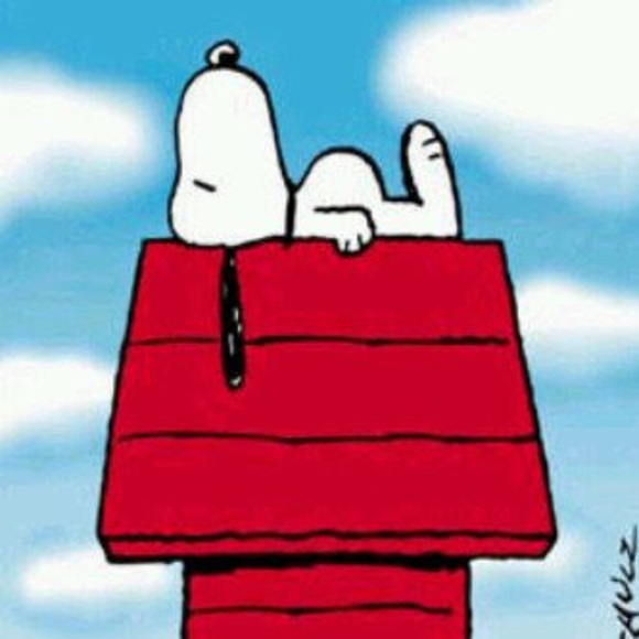 Profile Picture of Rogelio Marquez (@rogeliomarqu144) on Poshmark