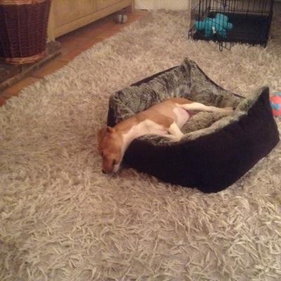 Profile Picture of Terry (@terryhack60) on Twitter