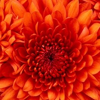Profile Picture of Hannah Conway (@hannah-conway-4) on Quora