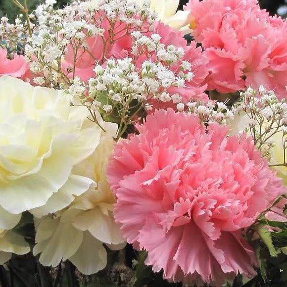 Profile Picture of Mary ellen Mcgillycuddy (@colleen1626) on Poshmark