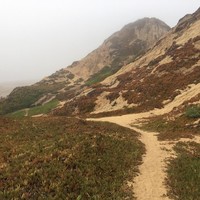 Profile Picture of Erjona Topalli (@erjona-topalli) on Quora