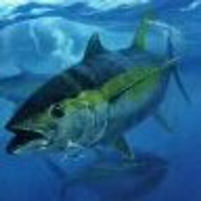 Profile Picture of Justin Falk (@falkfish85) on Twitter