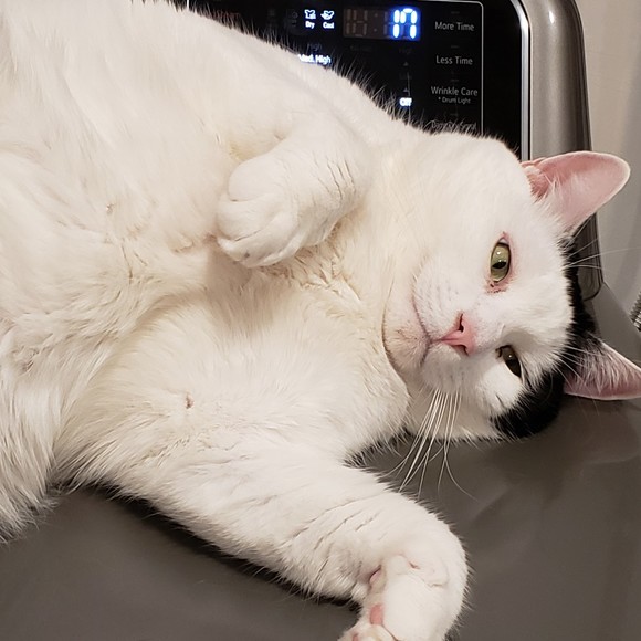 Tisha Harris - Poshmark Profile Picture of Tisha Harris (@trashpandamama) on Poshmark