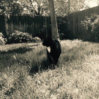 Profile Picture of Adam Hiett (@adam_hiett) on Twitter