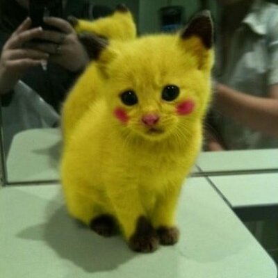 Profile Picture of Yumin Li (@yuminli) on Twitter