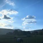 Profile Picture of Ruby Holliday (@jackson.sutherland.7) on Facebook