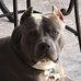 Profile Picture of Troy Jarvis (@troy.jarvis.315) on Facebook