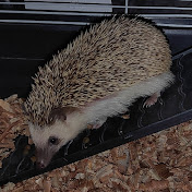 Derek Aranda - Youtube Profile Picture of Derek Aranda (@derekaranda3925) on Youtube