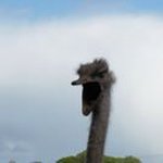 Profile Picture of Joanne Gillette (@joannethirlaway) on Instagram