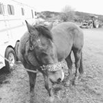 Profile Picture of Aaron VanLoon (@aaronzanevanloon) on Instagram