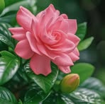 Profile Picture of Maureen M. Carlos (@Maureen-M-Carlos) on Facebook