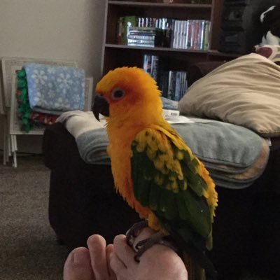 Profile Picture of Patty Lynch (@PiperCubMom09) on Twitter