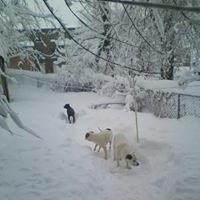 Profile Picture of Donna Kelley (@donna-kelley-25) on Quora