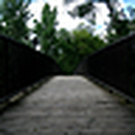 Profile Picture of Brendan Lynch-salamon (@blynchsalamon) on Flickr