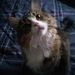 Profile Picture of Max Fifield (@fifield0826) on Pinterest