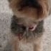 Profile Picture of Oliver Magee (@Oliver-Magee) on Facebook