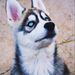 Profile Picture of Laïla Yotis (@lailayotis) on Pinterest