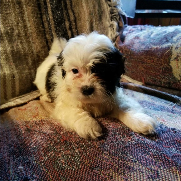 Profile Picture of Maria Cano (@lolis1121) on Poshmark