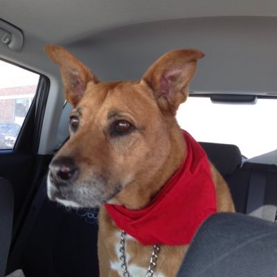 Profile Picture of Greg Squire (@squire_greg) on Twitter