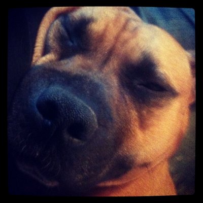 Profile Picture of Dan Tilbury (@dantilbury36) on Twitter