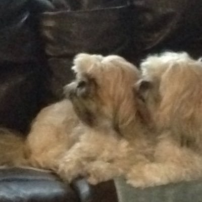 Profile Picture of Richard Slagle (@RichardSlagle5) on Twitter