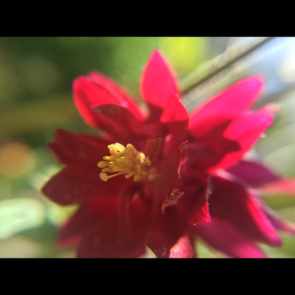 Profile Picture of Renee Huhman (@flowertattoe) on Poshmark