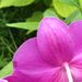 Profile Picture of Lisa Chrisman (@lisachrisman28) on Pinterest