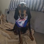 Profile Picture of Jodi Lawrie Rzepka (@jodirzepka) on Instagram