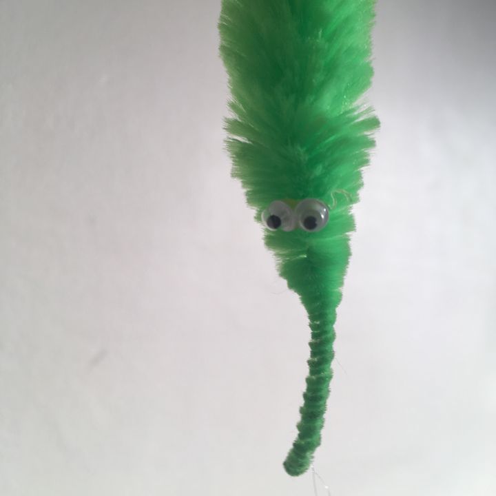 Profile Picture of Jeremy (@jeremytheworm) on Tiktok