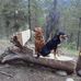 Profile Picture of Eric Legault (@eric.legault.127) on Facebook