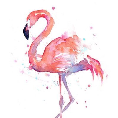 Profile Picture of Bdeflamingo (@BertaGallardo4) on Twitter