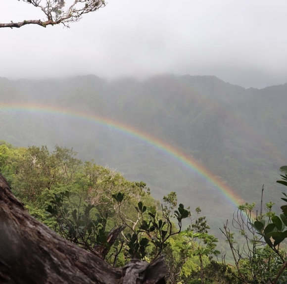 Profile Picture of Rachael Wolf (@rachaelwolf) on Poshmark