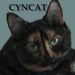 Profile Picture of Cynthia Nickerson (@cyncat6) on Pinterest