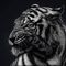 Profile Picture of Mateusz Pilch (@Mateusz-Pilch) on Facebook