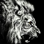 Lion of Judah - Instagram Profile Picture of Lion of Judah (@andrew_ben_israel) on Instagram