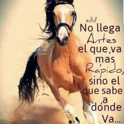Profile Picture of LaMichoacana (@solorio_beatriz) on Twitter