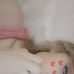 Profile Picture of Lisa Addison (@lisa.addison.50746) on Facebook