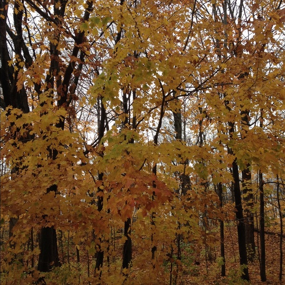 Theresa Scalco - Poshmark Profile Picture of Theresa Scalco (@tbscalco) on Poshmark