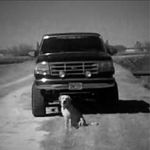 Profile Picture of Matthew Gaona (@mattmattgee) on Instagram