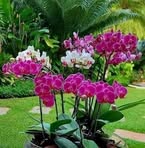 Nancy Aguas - Facebook Profile Picture of Nancy Aguas (@Nancy-Aguas) on Facebook