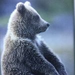 Profile Picture of Neal Cope (@nealcope) on Instagram