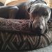 Profile Picture of Sid Potts (@Sidneypotts18) on Pinterest