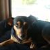 Profile Picture of Beverly Calhoun (@beverly.calhoun.927) on Facebook
