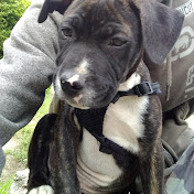 Profile Picture of Zachary Blair (@zacharyblair5944) on Youtube