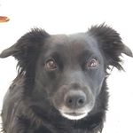 Zola Elsbach - Instagram Profile Picture of Zola Elsbach (@zola.mczolaface) on Instagram