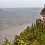 Profile Picture of Partridge (@partridgejune) on Instagram