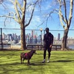 Profile Picture of Albert Polanco (@albertpolanco84) on Instagram