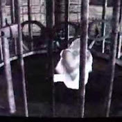 Profile Picture of Stef Brooke-Harris (@stefzchickz) on Youtube