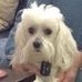 Profile Picture of Harriet Shaffer (@harriet.shaffer.1) on Facebook